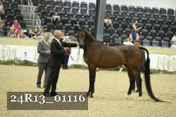 24R13_01116 thumbnail