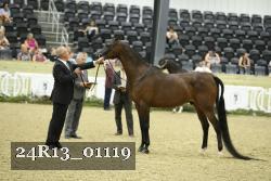 24R13_01119 thumbnail