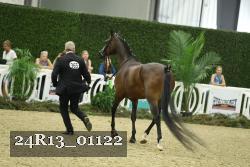 24R13_01122 thumbnail