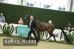 24R13_01124 thumbnail