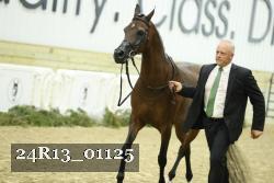 24R13_01125 thumbnail