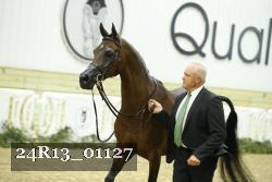 24R13_01127 thumbnail