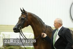 24R13_01128 thumbnail
