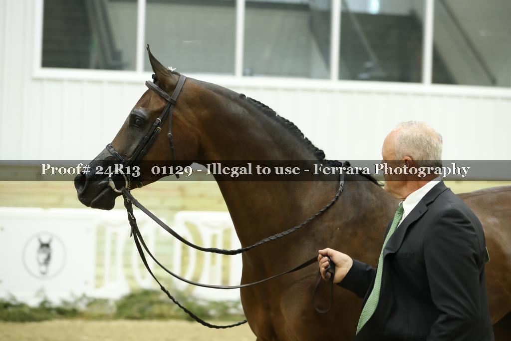 Proof Number 24R13_01129