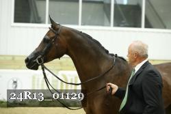 24R13_01129 thumbnail