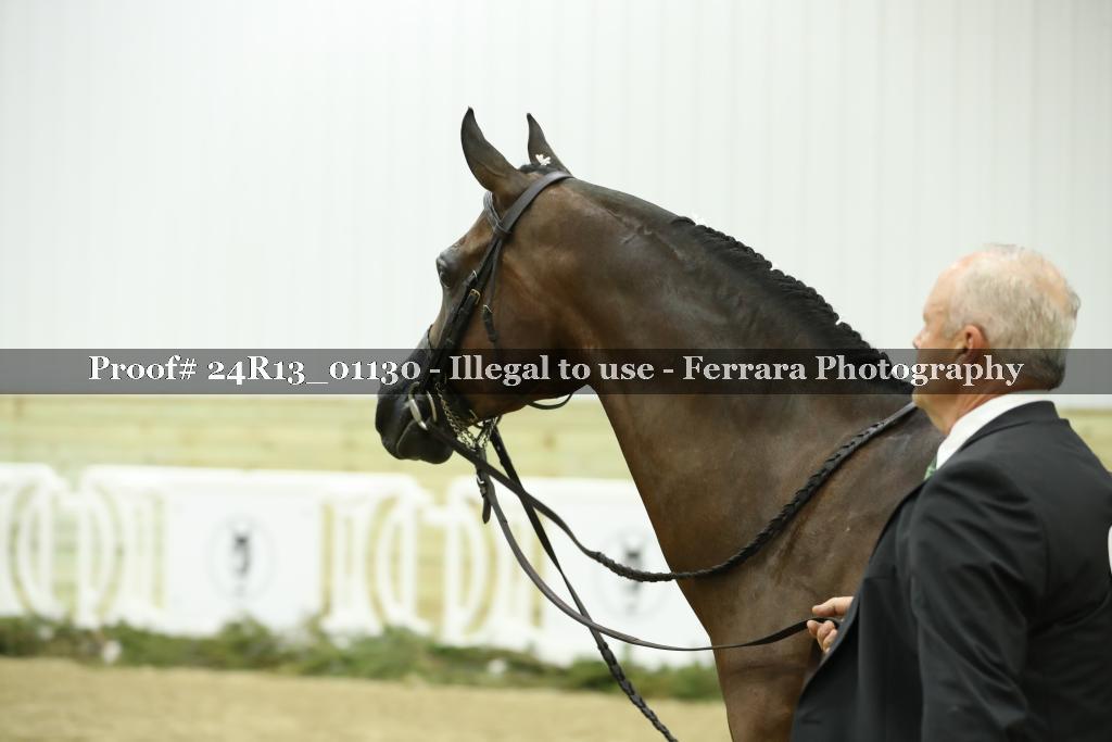 Proof Number 24R13_01130