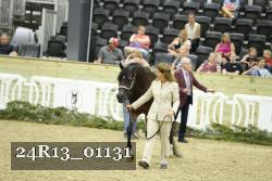 24R13_01131 thumbnail