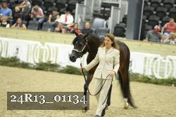 24R13_01134 thumbnail