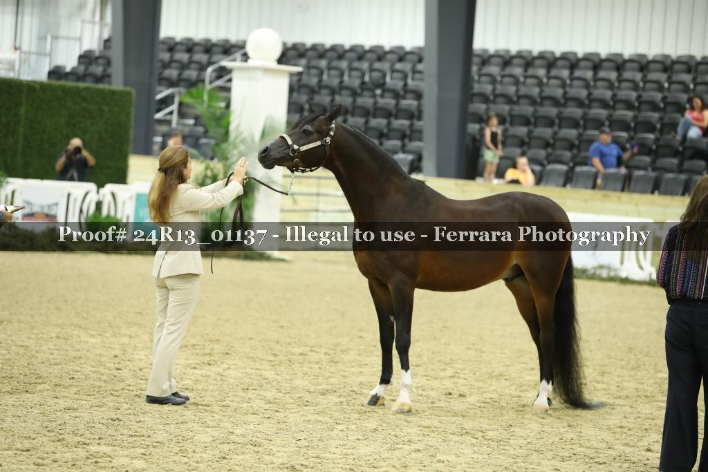 Proof Number 24R13_01137