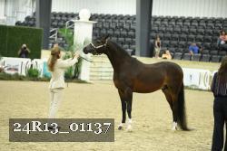 24R13_01137 thumbnail