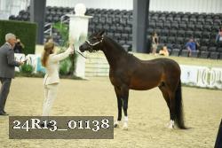 24R13_01138 thumbnail