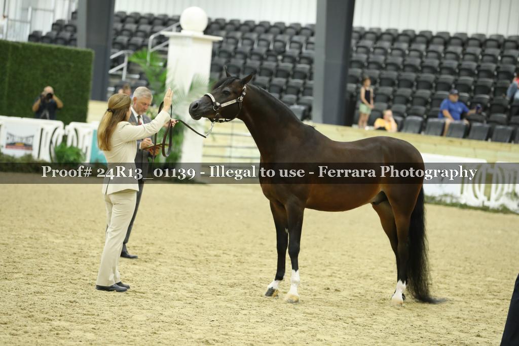 Proof Number 24R13_01139