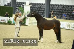 24R13_01139 thumbnail