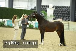 24R13_01141 thumbnail