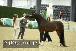 24R13_01142 thumbnail