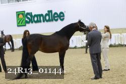 24R13_01144 thumbnail