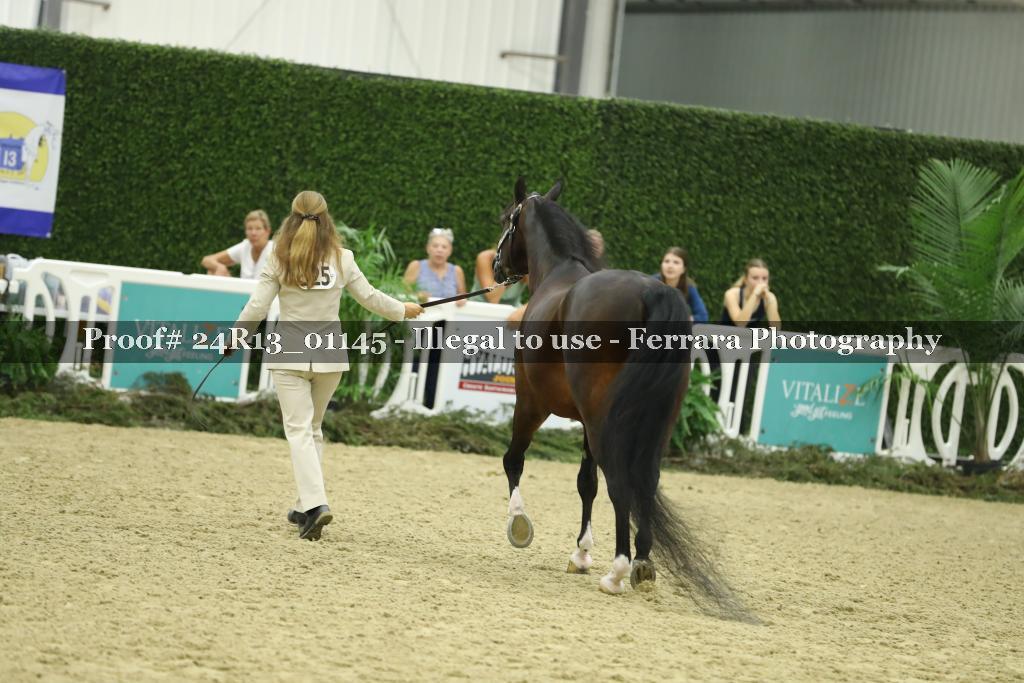 Proof Number 24R13_01145