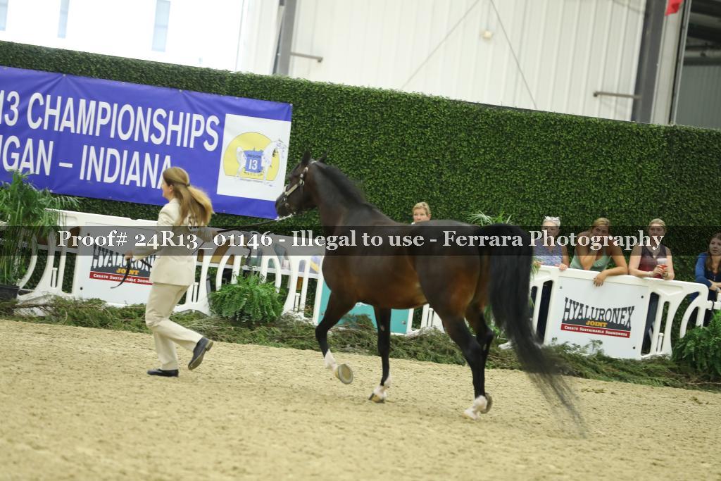 Proof Number 24R13_01146