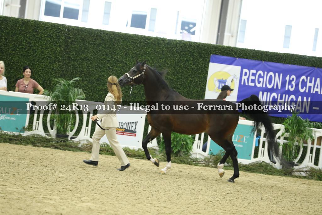 Proof Number 24R13_01147