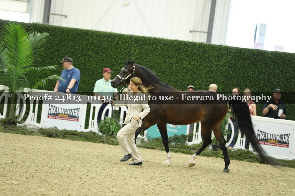 Proof Number 24R13_01149