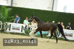 24R13_01149 thumbnail