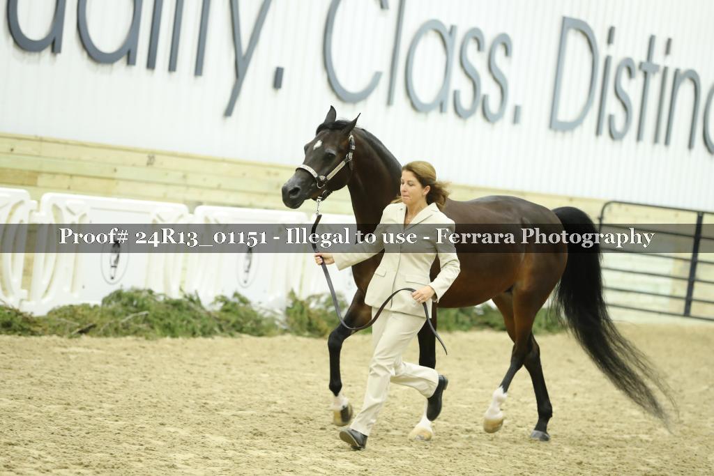 Proof Number 24R13_01151