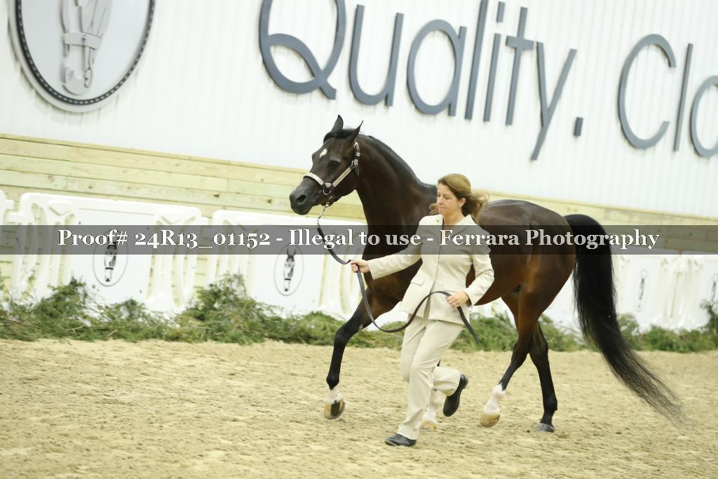 Proof Number 24R13_01152