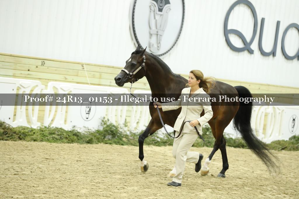 Proof Number 24R13_01153