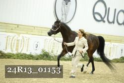 24R13_01153 thumbnail