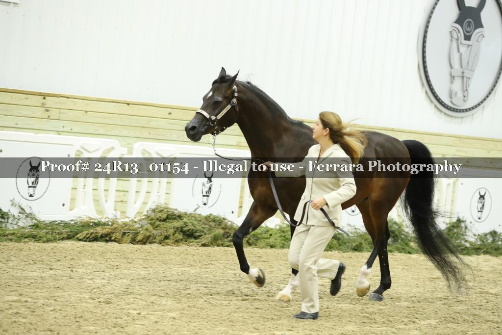 Proof Number 24R13_01154