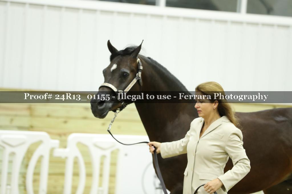 Proof Number 24R13_01155