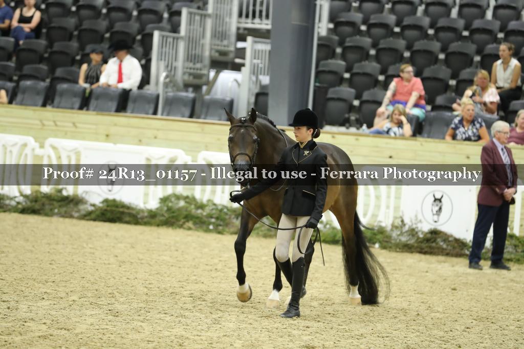 Proof Number 24R13_01157