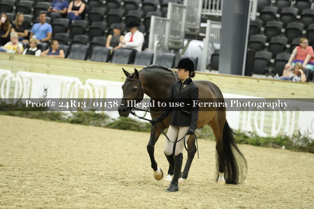 Proof Number 24R13_01158