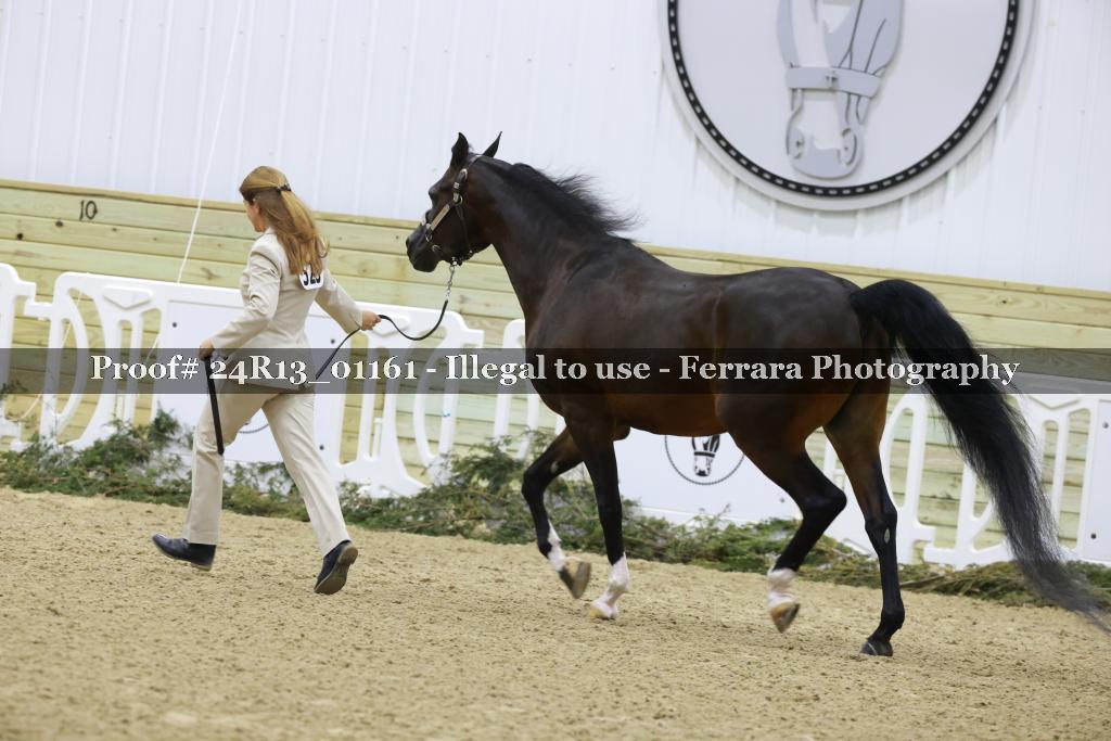 Proof Number 24R13_01161