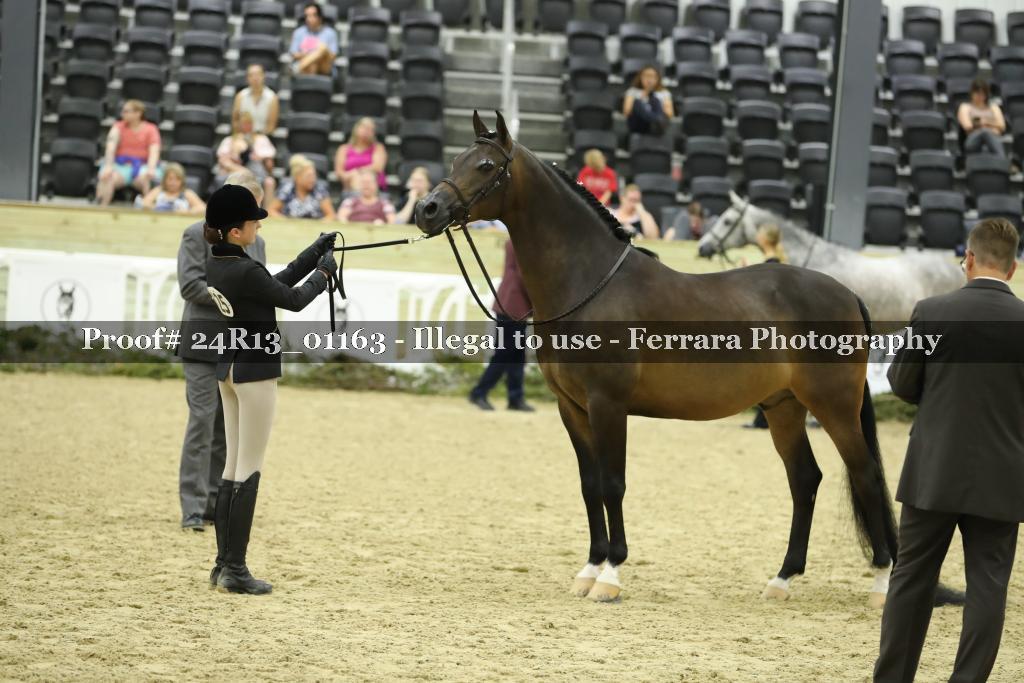 Proof Number 24R13_01163