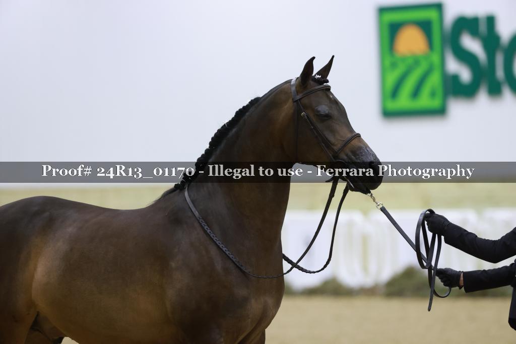 Proof Number 24R13_01170