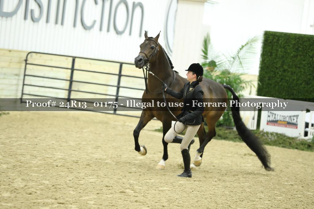 Proof Number 24R13_01175