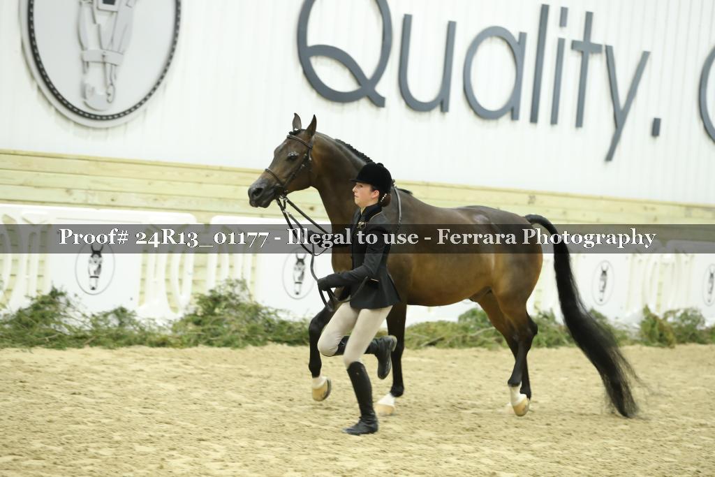 Proof Number 24R13_01177