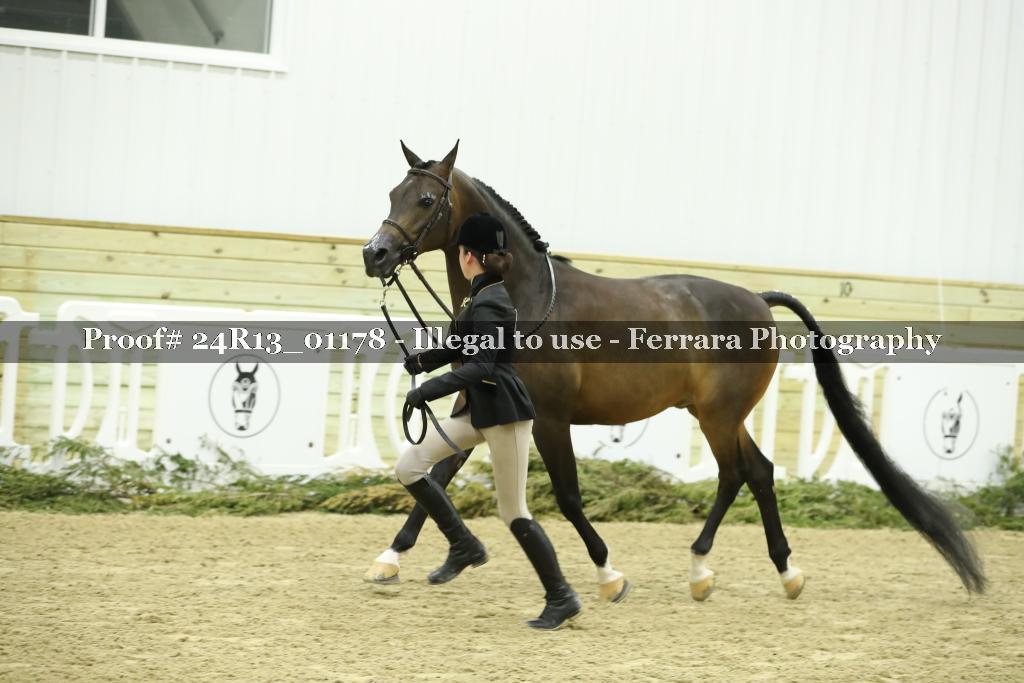 Proof Number 24R13_01178