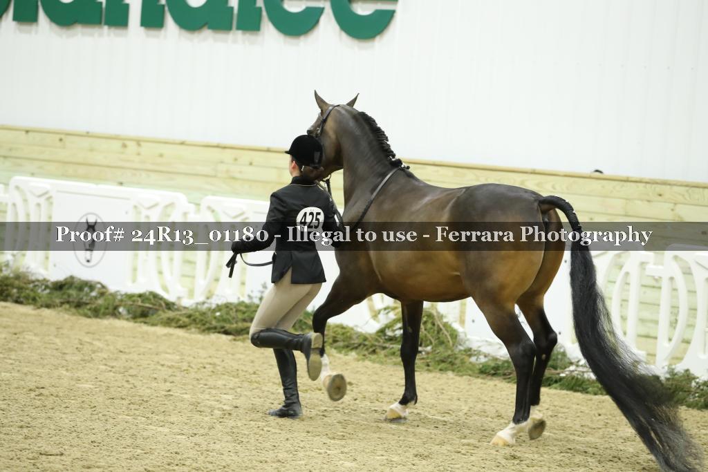 Proof Number 24R13_01180
