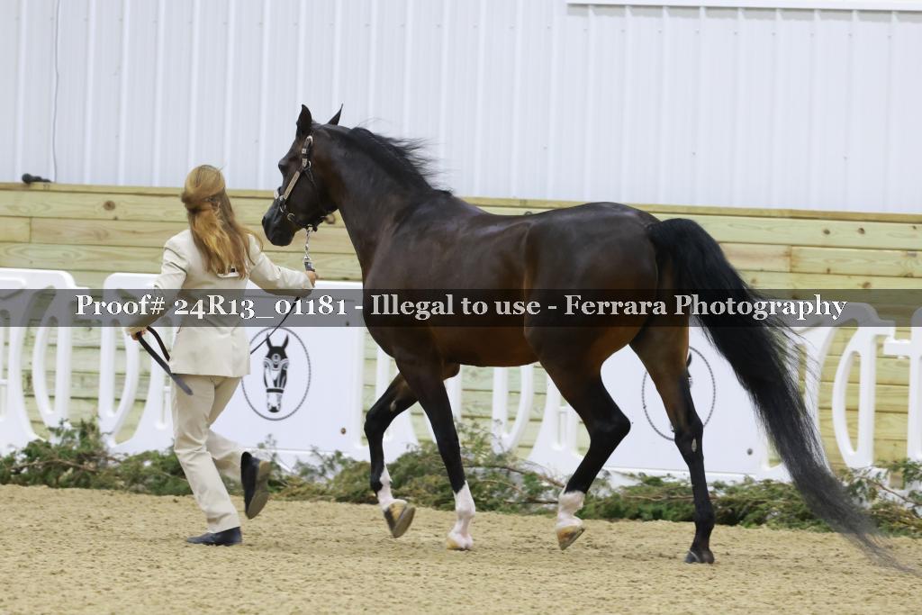 Proof Number 24R13_01181