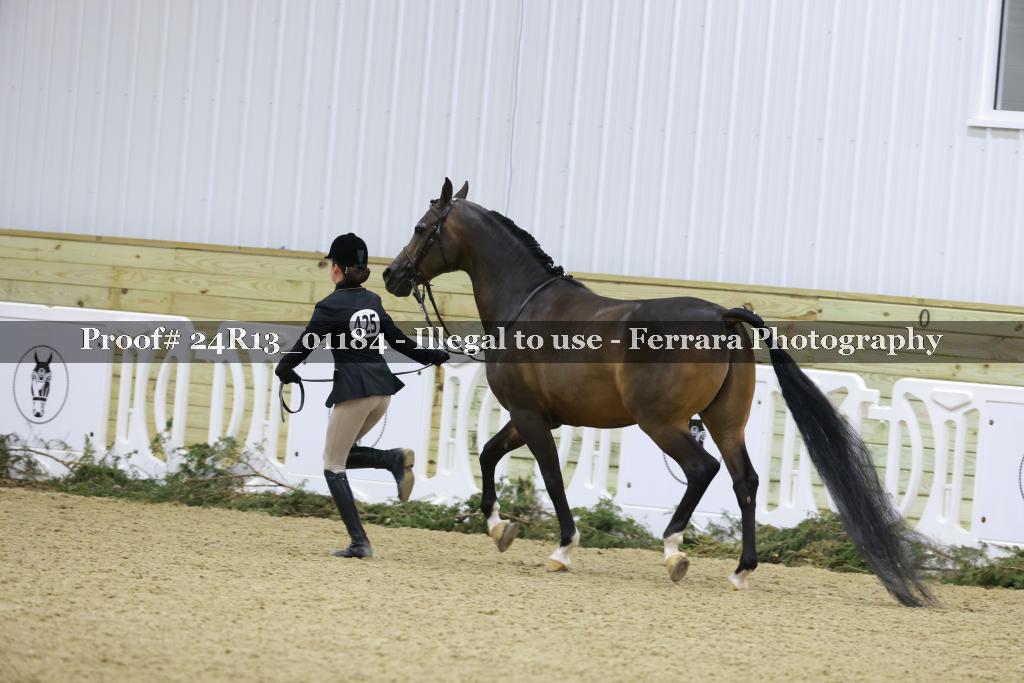 Proof Number 24R13_01184