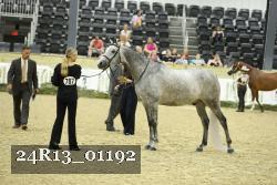 24R13_01192 thumbnail