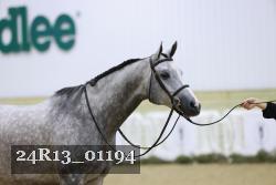 24R13_01194 thumbnail