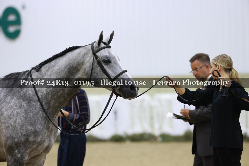 Proof Number 24R13_01195