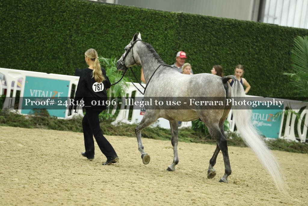 Proof Number 24R13_01196