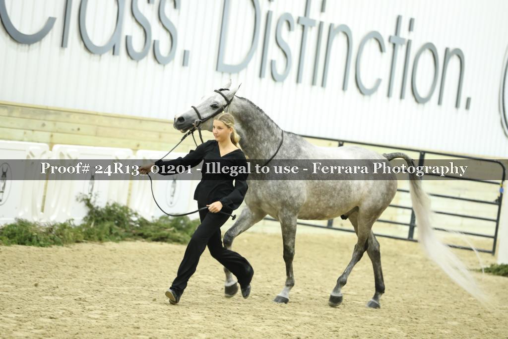 Proof Number 24R13_01201