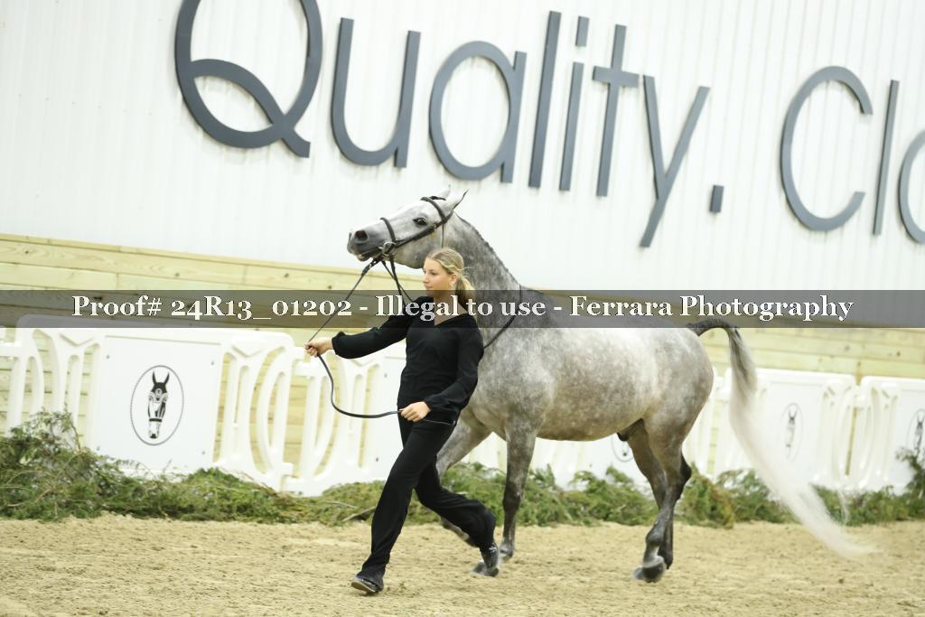 Proof Number 24R13_01202