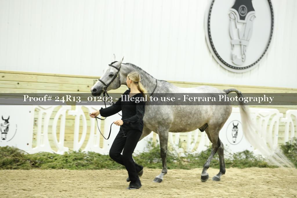 Proof Number 24R13_01203