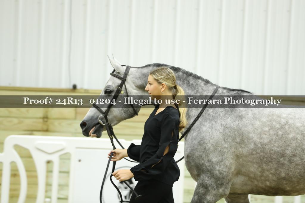Proof Number 24R13_01204